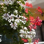 아파트 Paradis *